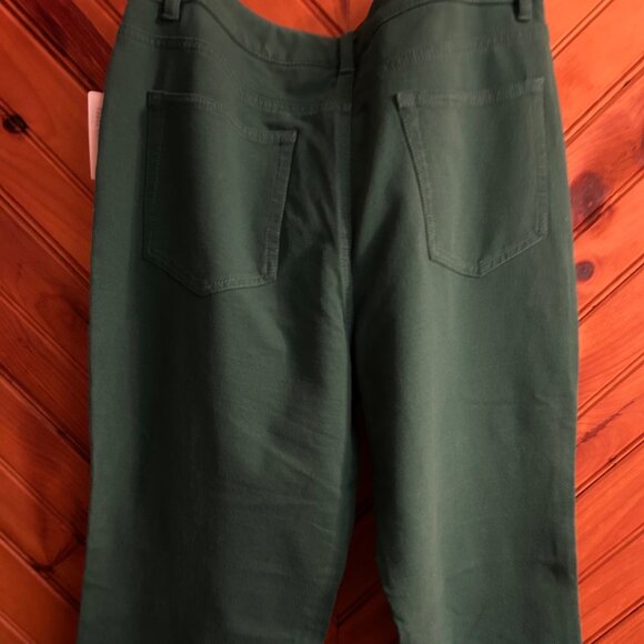 Emerald Green Dream Jeannes by Quacker Factory - Picture 4 of 7